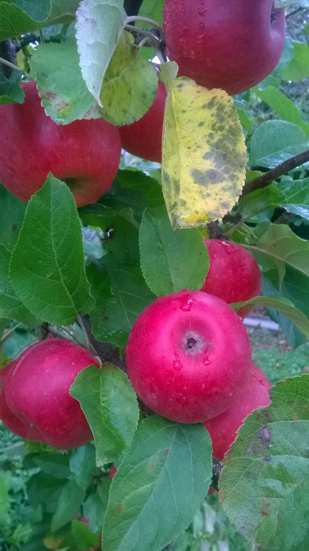WP_20190921_007.jpg
