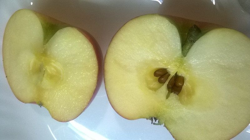 WP_20190926_003.jpg