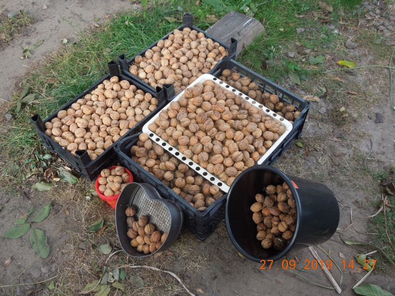 DSCN8078.JPG