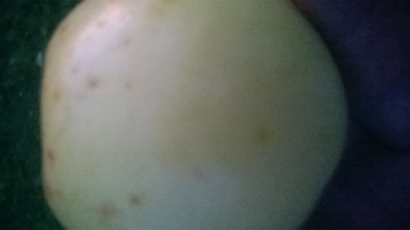 WP_20190824_009.jpg