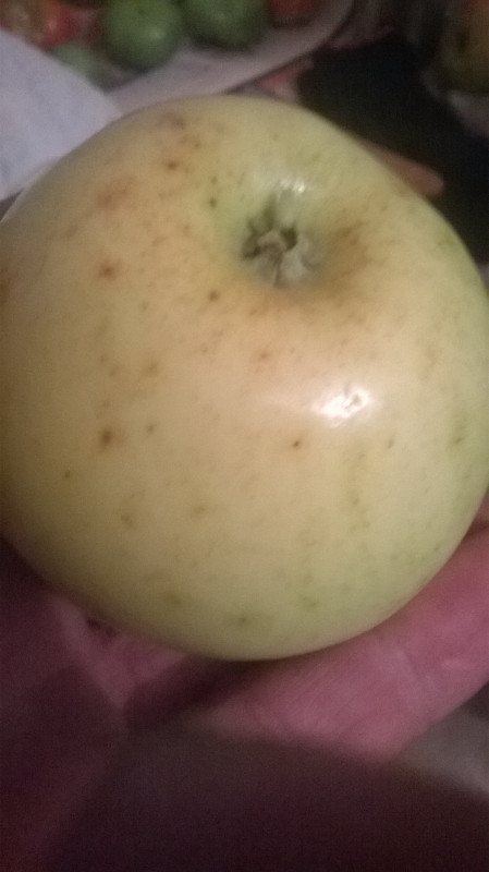 WP_20190824_010.jpg