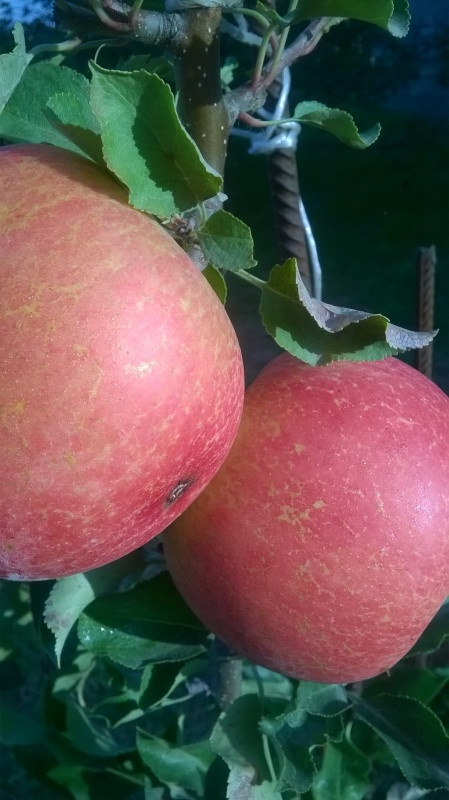 WP_20190907_003.jpg