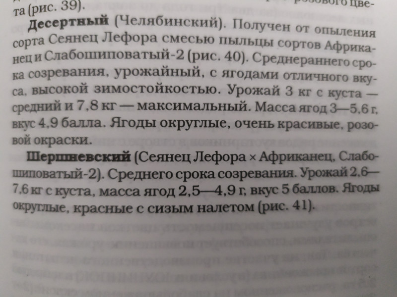 Из книги Ильина &quot;Крыжовник&quot;