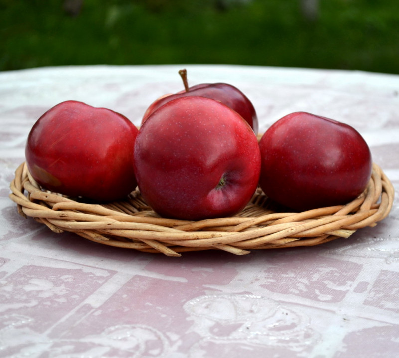 Лобо