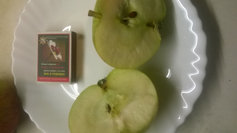 WP_20191001_008.jpg