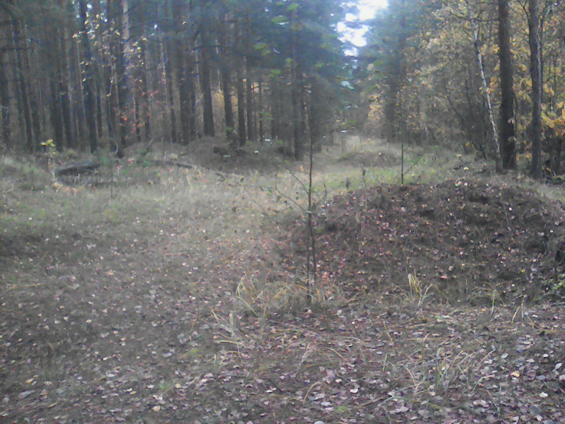 DSC_0000189.jpg