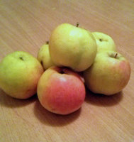 CAM004271.jpg