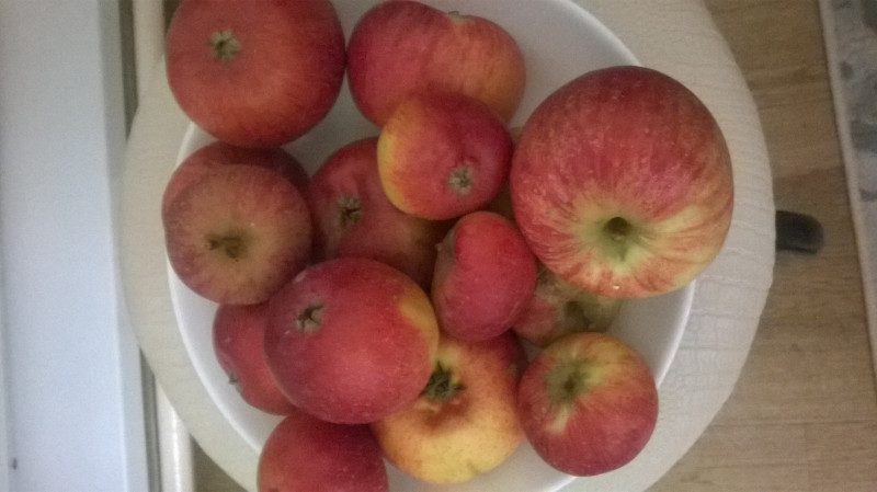 WP_20191003_003.jpg