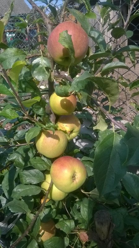 WP_20190825_002.jpg