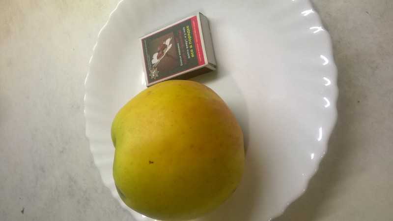 WP_20191002_001.jpg