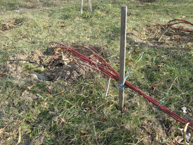 DSC06035.JPG