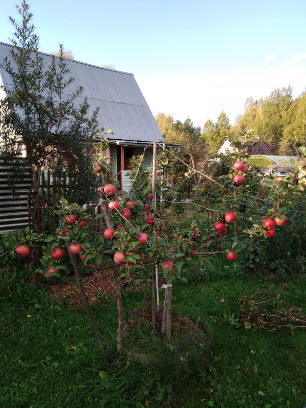 IMG_20190914_175137.jpg