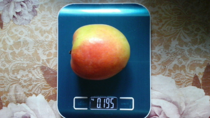 20191008_112818.jpg