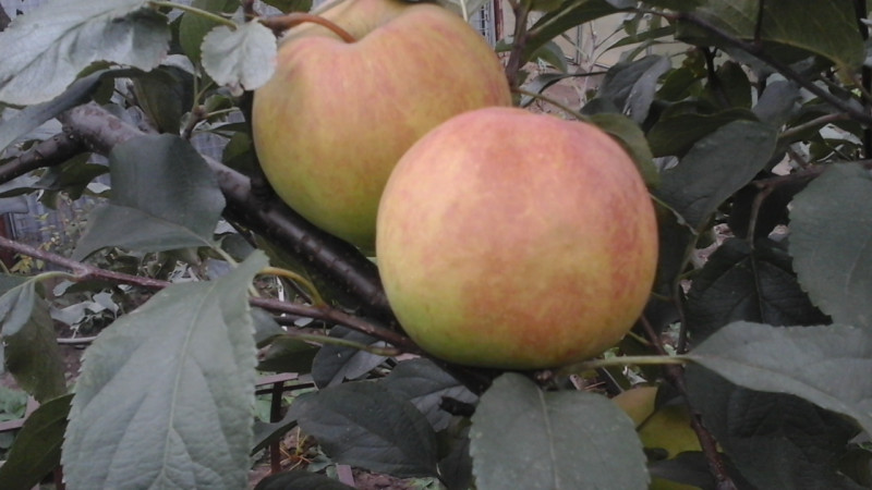 20190918_135932.jpg