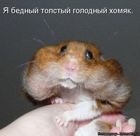 kotomatritsa_E.jpg
