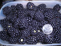 DSCN2272.JPG