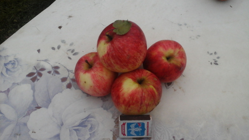 20160914_181837.jpg