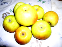 памяти липунова.jpg