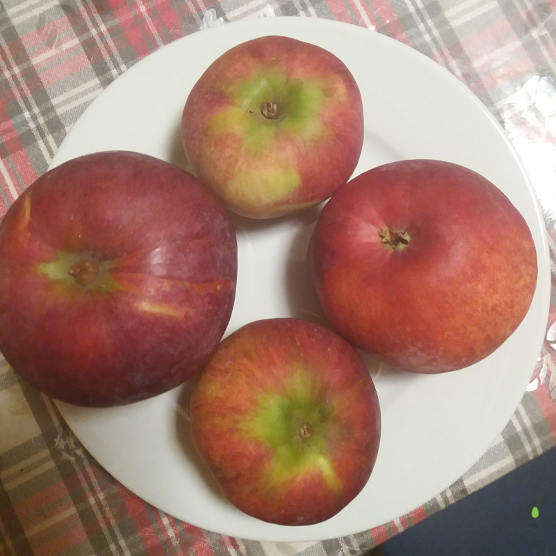 20191014_231825.jpg