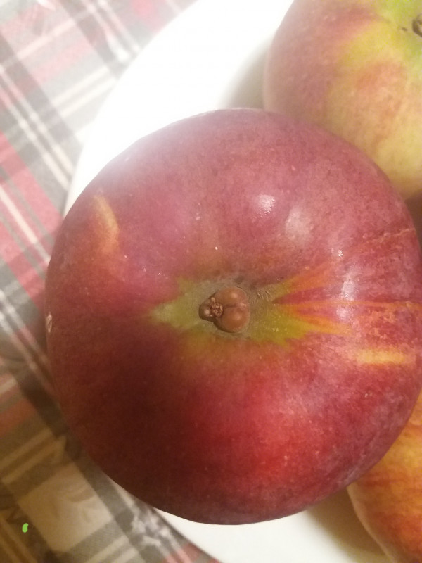 20191014_231907.jpg