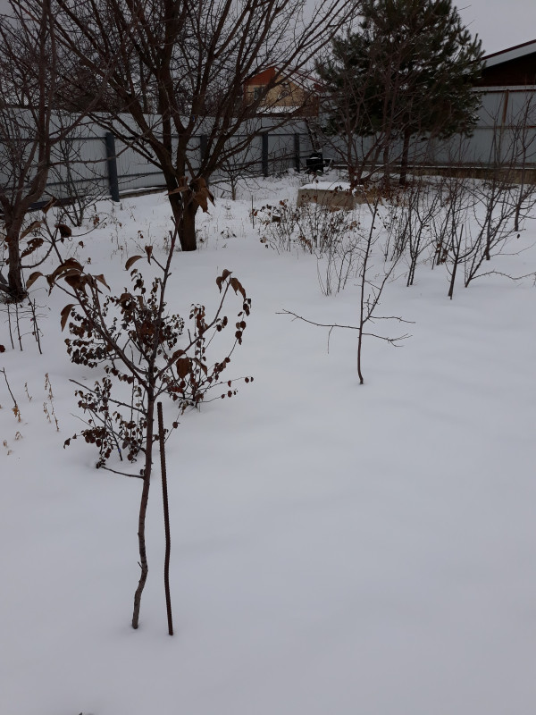 20181216_125637.jpg