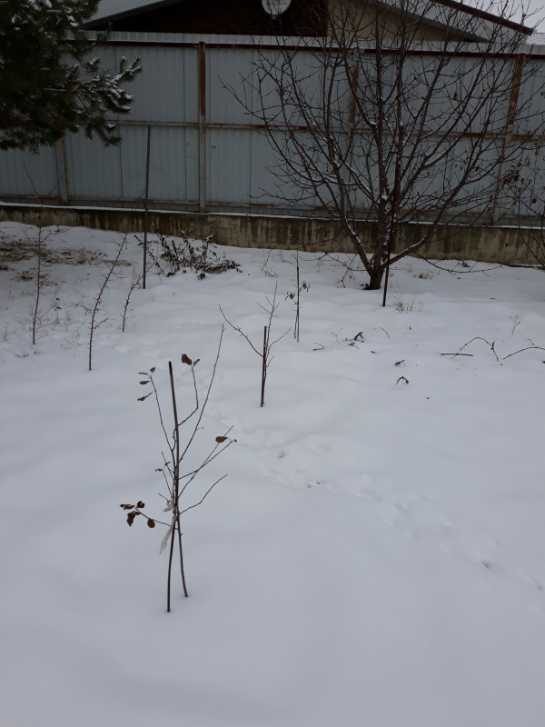 20181216_125758.jpg