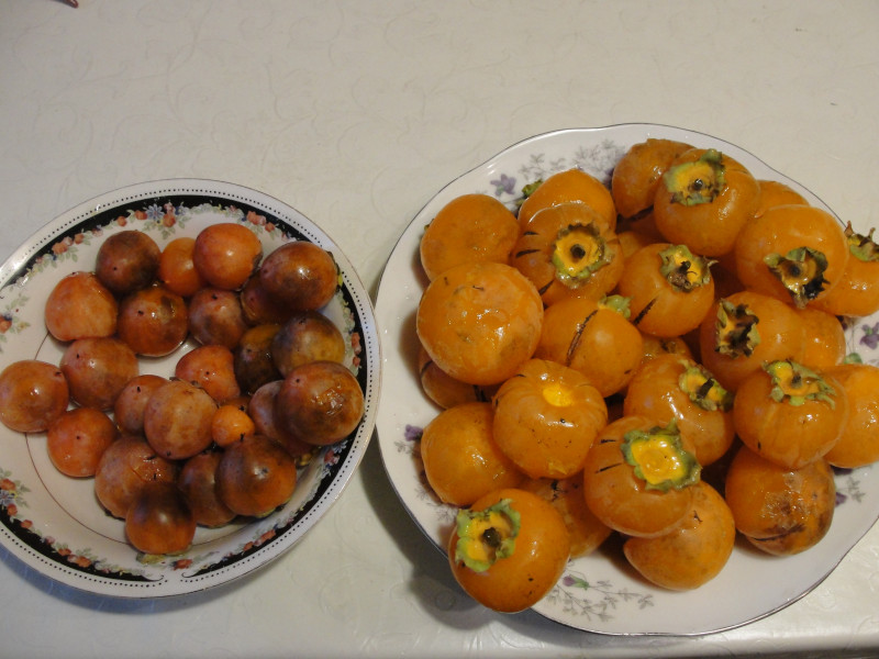 DSC06768.JPG