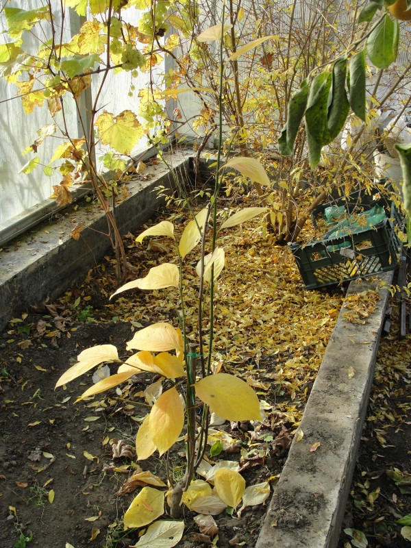 DSC06760.JPG