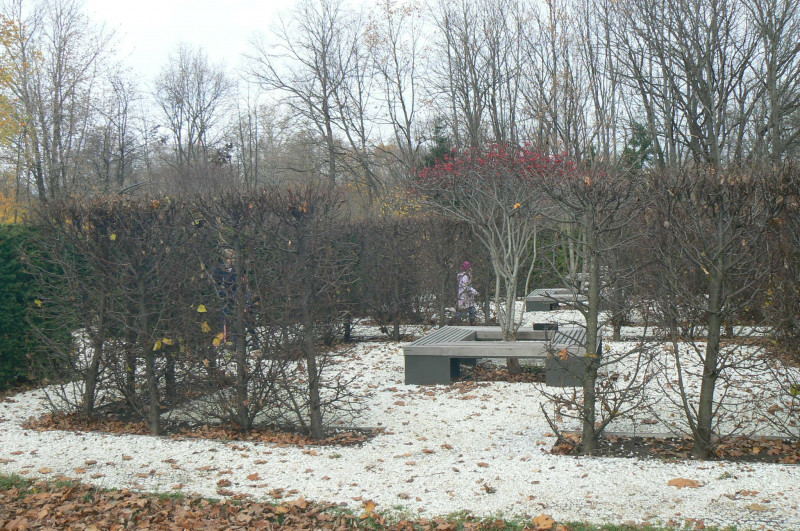 P1470553.JPG