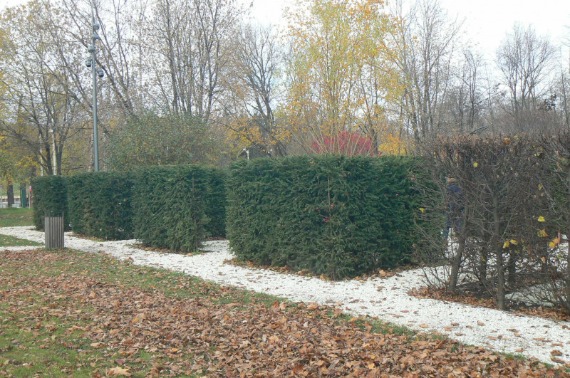 P1470554.JPG