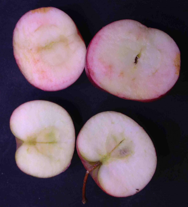 image1_1.jpg