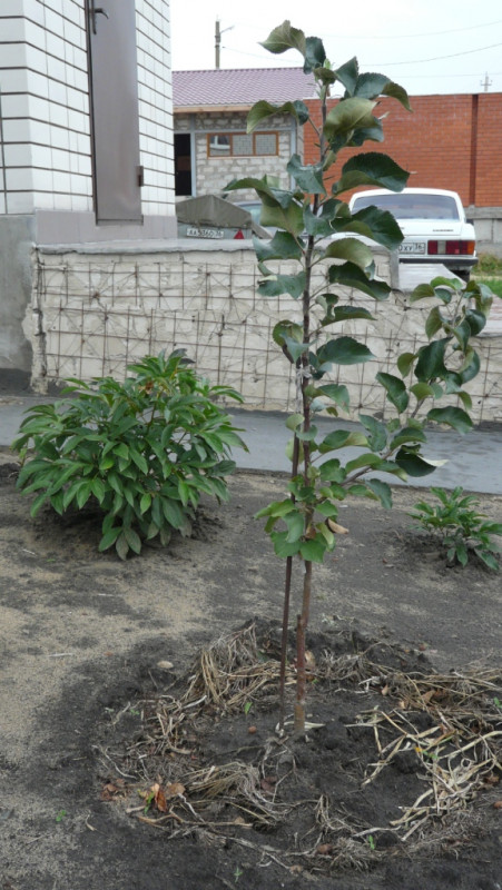P1080338.JPG