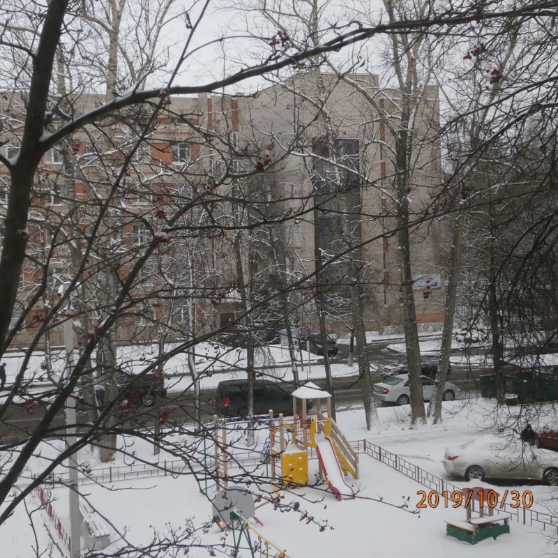PA304004.JPG