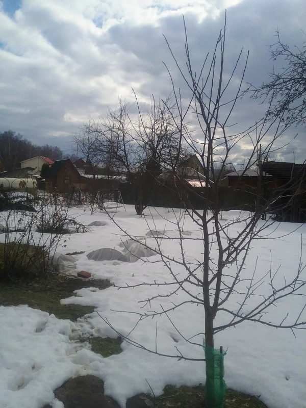20190323_134125~4.jpg