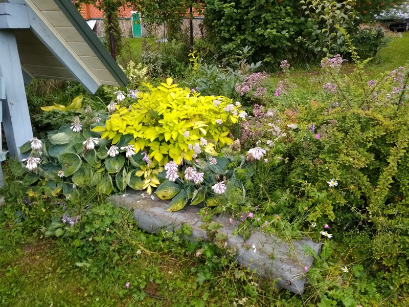 IMG_20190719_200221.jpg