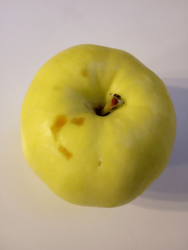 12.png
