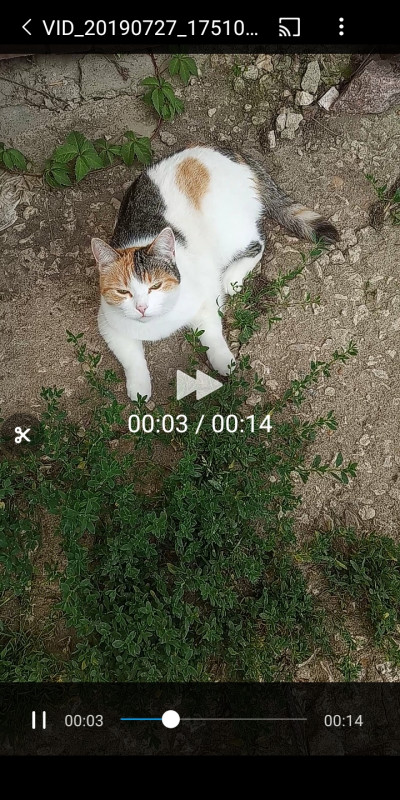 Screenshot_2019-10-29-21-48-53-969_com.miui.videoplayer.jpg