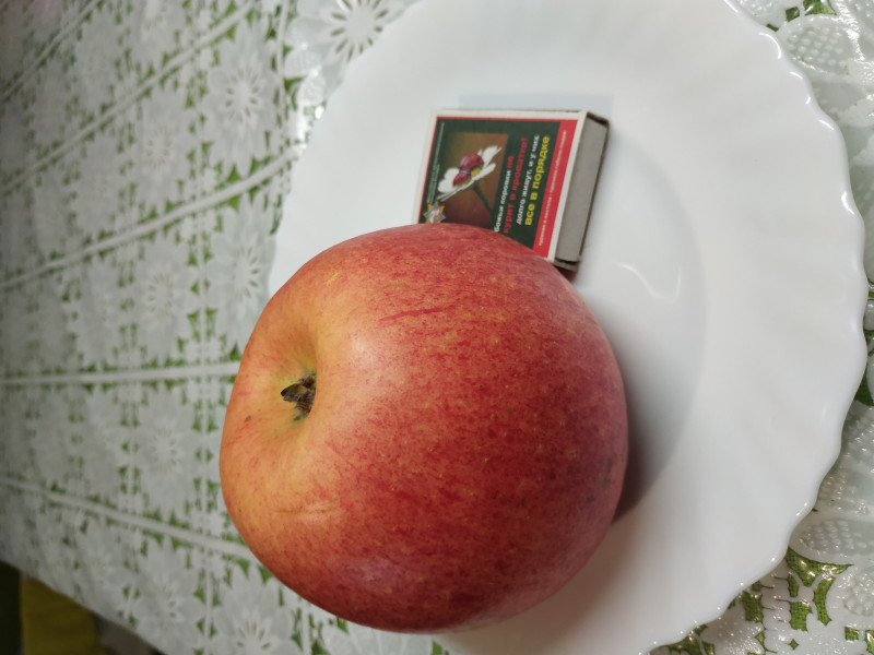 IMG_20191109_173542.jpg