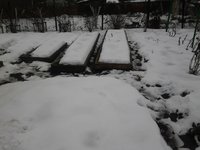 Грядки...Ноу коммент...