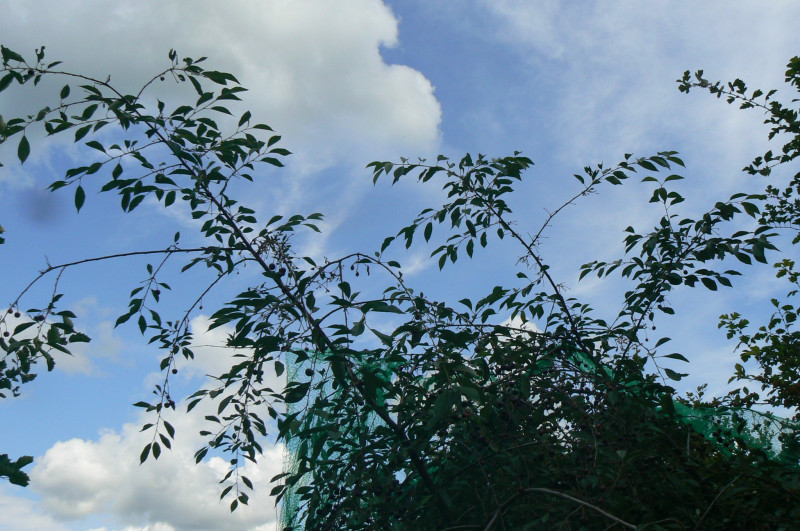 P1450353.JPG