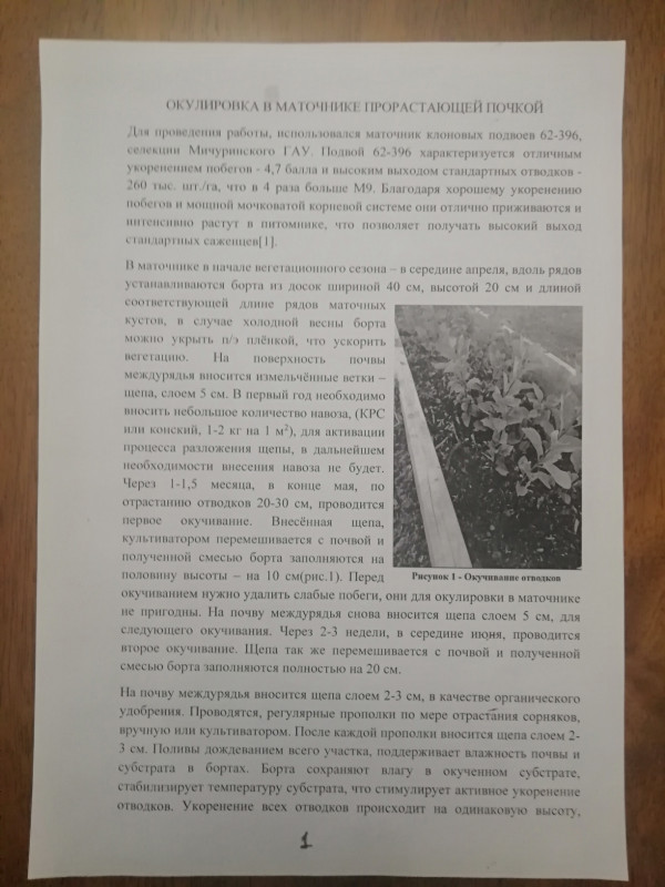 С-1.jpg