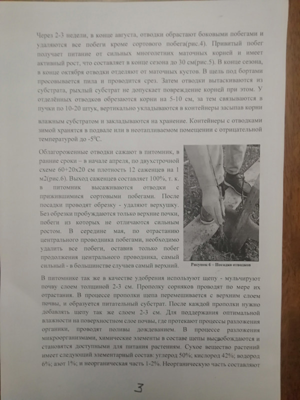 С-3.jpg