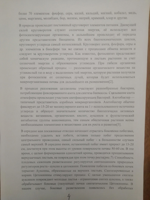 С-4.jpg