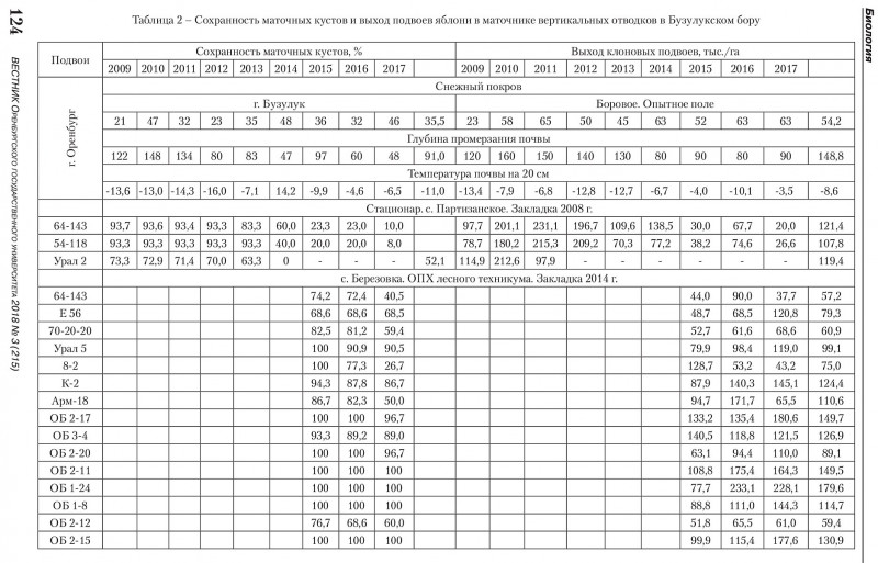 Сохранность маточных кустов и выход подвоев яблони в маточнике вертикальных отводков в Бузулукском бору.jpg