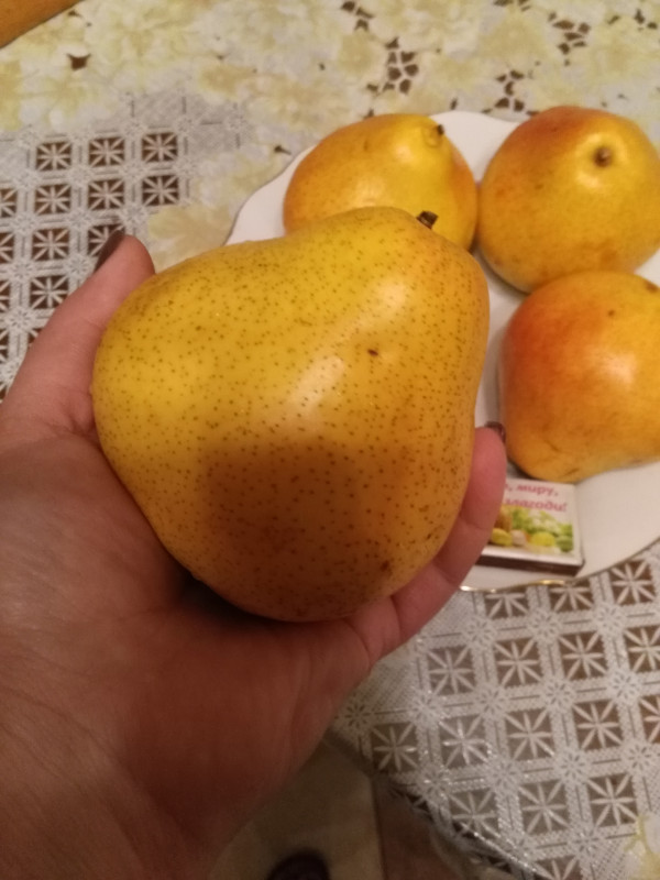 IMG_20191125_201301.jpg