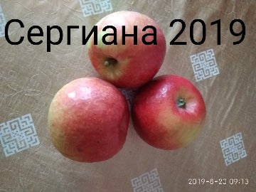 1566603490237.jpg