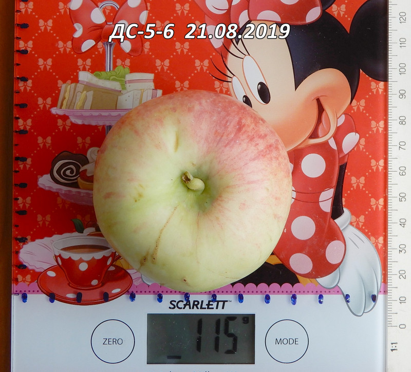 DSCN0829.jpg
