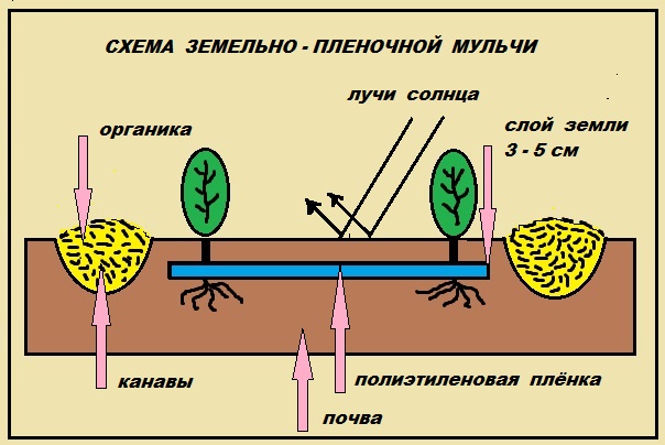 ec24f7e486ae5f891ebc733e87da98bc.jpg