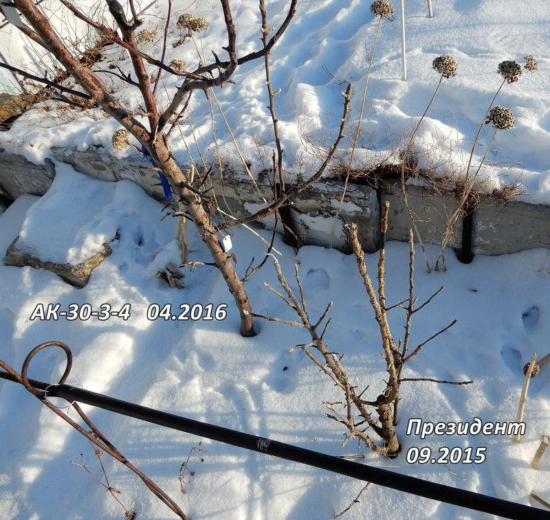 DSCN0923.jpg