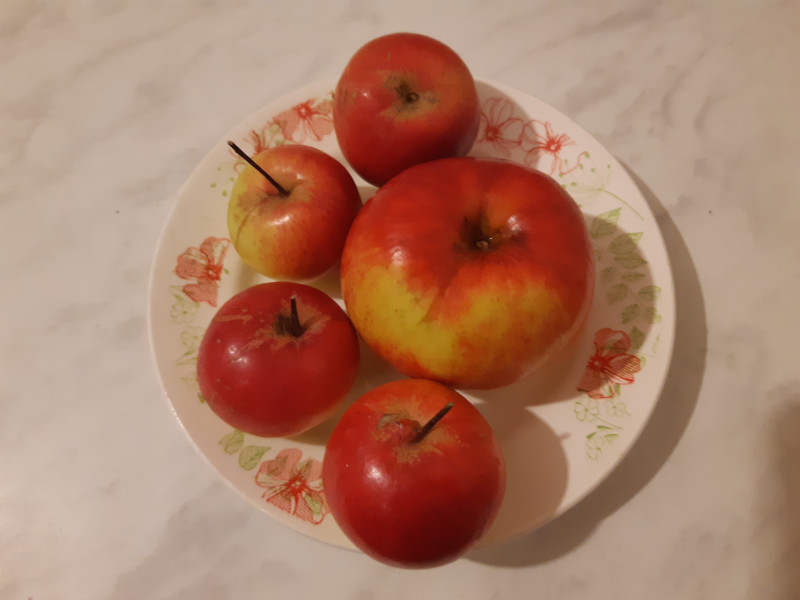 20191207_171210.jpg